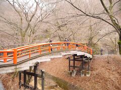 伊香保神社からさらに奥に進むと、「河鹿橋」があります。
秋になると、紅葉がキレイらしいです。