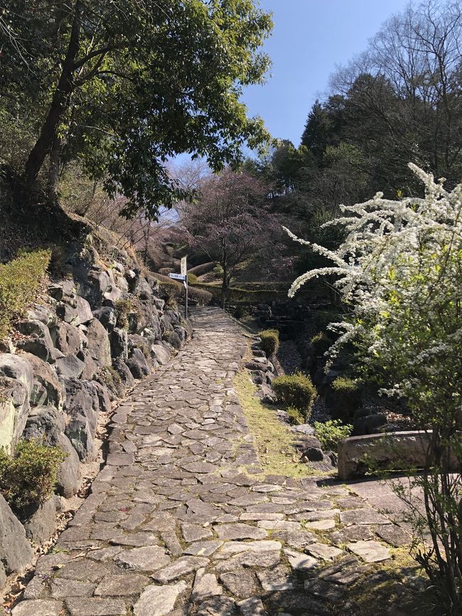 森蘭丸の寺 可成寺 その弐 蘭丸の墓もあります | ふたつの玉子