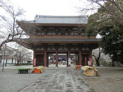 　池上本門寺の仁王門です。仁王門前の桜はチラホラ咲きはじめた感じでした。