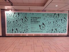 2019年4月19日、東京・表参道のキャットストリートに「TIFFANY ＆ CO.
（ティファニー）」の日本初のティファニーのコンセプトストア
『ティファニー＠キャットストリート』がオープン予定と聞きました。

カフェではオードリー・ヘップバーン主演の映画「ティファニーで
朝食を」に登場するクロワッサンもいただけるとのこと。
これは行かねば！（もちろん同じものではないですが・・・。）