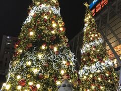 ZENモール前に大きなクリスマスツリーがあった。いつくらいにかたづけるのだろうか？