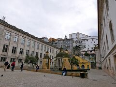 あれはなんだ　Claustro da Mangaという　マンガの庭園，回廊というか