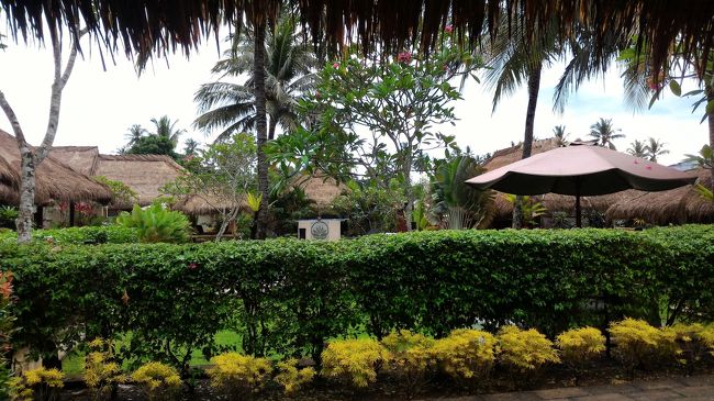 スンギギのバンガローに到着です。ちょっと奥まった場所にありましたが、とてもきれいで、周りも静かで快適です。