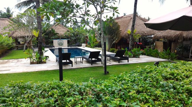 数部屋のバンガローに囲まれるようにしてプールが真ん中にあります。よく手入れされていてとてもきれいでした。2泊だけだったのでプールでゆっくりくつろぐことはありませんでしたが、ちょっとだけ水浴びしました。