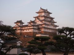 【姫路城の夜桜会】
白鷺城もこの時間は少し雰囲気が変わりますね