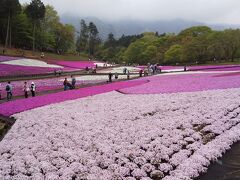 羊山公園の芝桜の丘
徒歩の最短距離の道で行ったのですが、最後に急な坂があったので大変でした
入園料は300円ですが、75歳以上だと50円引になります