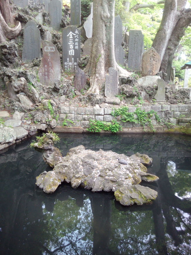 亀の形の石があります。ここにお金を投げて、乗ったらラッキー。