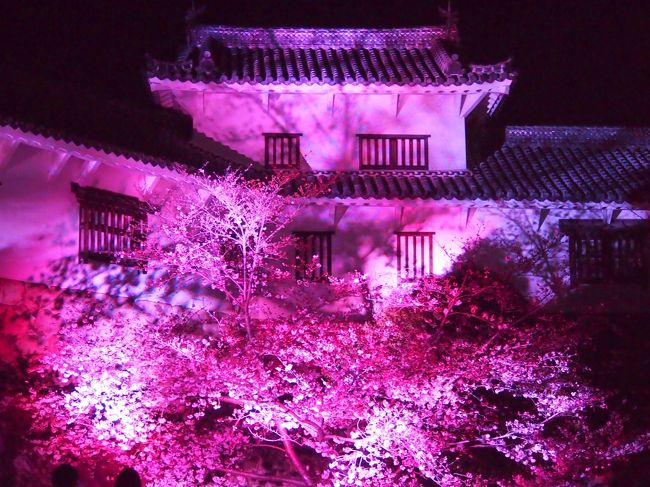 青春１８きっぷの旅 ２０１９年春 平成最後の桜を求めて ３ 兵庫 姫路城 夜桜会 姫路 兵庫県 の旅行記 ブログ By かおニャンさん フォートラベル