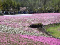 あまりに富士山が美しい姿を見せてくれるので、もっと富士山に迫りたい～。

ということで、季節モノの「富士芝桜まつり」まで遠征しました。渋滞に巻き込まれ、4時間位かかっちゃったけど。会場もすごい人出です。