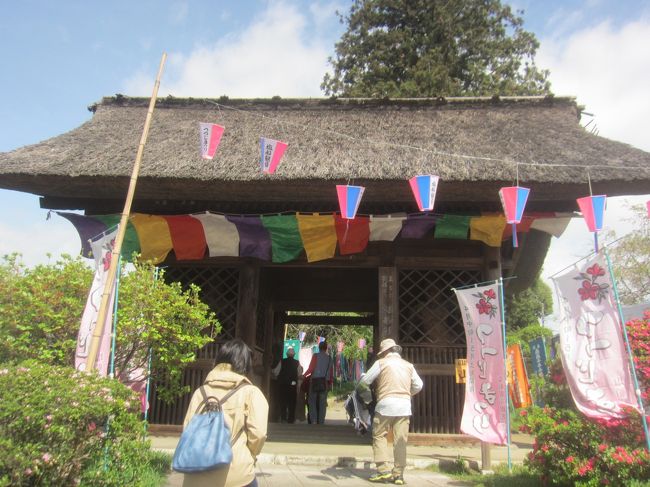 令和 直前 平成 最後の 昭和 の日 塩船観音寺のツツジと昭和記念公園のちゅーりっぷ 立川 東京 の旅行記 ブログ By かつのすけさん フォートラベル