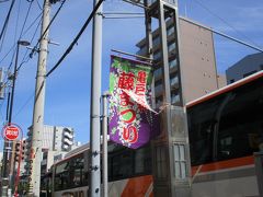 亀戸天神社 藤まつり