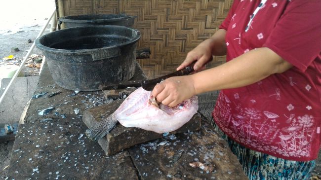 選んだ魚をさばき始めてくれます。その日にとれた魚がクーラーボックスに入れてあるので、好きな魚を値段交渉して選べます。