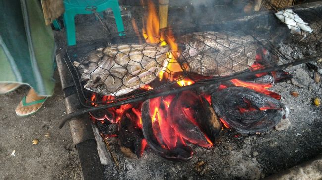 乾燥したココナツの皮を炭代わりにしてバーベキューです。かなりのエコですね。燃料代タダですから。