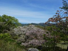 蓑山(美の山)