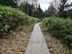 12:12
10分ほど登ると‥
ここが、沼山峠です。
樹林に覆われていて、特になにもありません。