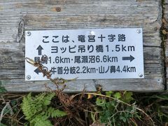 ここは尾瀬ヶ原の中の龍宮十字路です。
