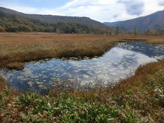湿原の泥炭層にできる池沼を「池塘」とよんでいます。
尾瀬ヶ原の景観を引き立たせていますね。
周囲200m以上あるものから、畳一枚ほどのかわいらしいものまで、三百を超える池塘が尾瀬にはあるそうです。
