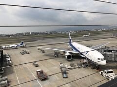 東京にはよく出張で行きますが、今回はまったくの個人的な旅行というか移動なのでできるだけ節約すべき、ANAのマイルで貯めた無料航空券で羽田まで移動です。