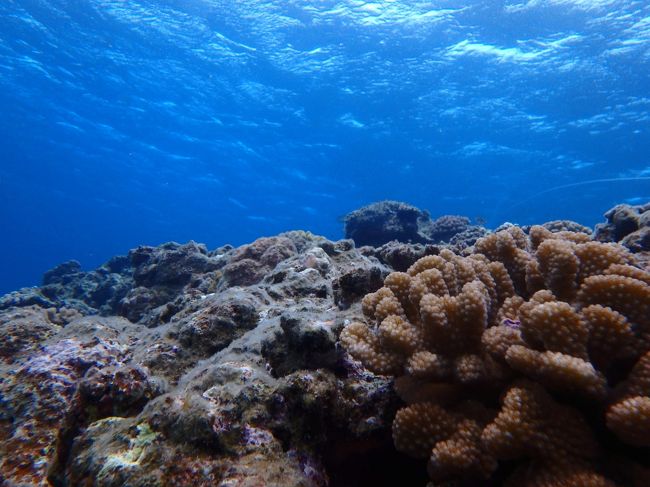 潜ると案外明るく見える