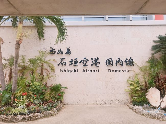 今年も来たよ、石垣空港！