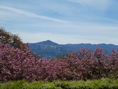 前回来たときは天気が悪くすぐ近くの武甲山がほとんど見えませんでしたが
この日はとてもきれいに見えました。