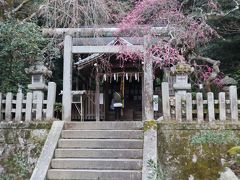 宇多天皇の病気平癒を祈る勅願所として創建された神社。