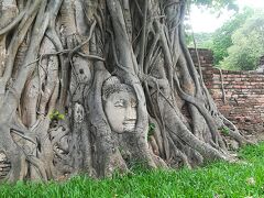 ここで最も有名な大きな木の根に覆われた
仏頭です。

菩提樹の根のなかに包まれた仏頭は、
タイを代表する風景の一つ。
よく、テレビや観光ガイドブックに紹介される
象徴的な風景です。

切り落とされ、地面に落ちた仏像。
しかし、木が長い年月をかけて
仏頭を持ち上げたとされています。

しかも奇跡的なのは、
仏頭は左右のどちらかに傾くこともなく、
水平に保たれたまま、木の根に覆われています。