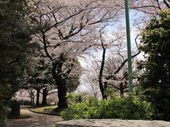 一旦目黒川から離れ坂道を上って西郷山公園へ