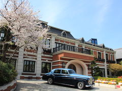 左手には赤レンガ造りの瀟洒な建物と満開の桜、クラッシックな車となかなか絵になる鳳鳴館