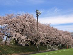 山手通りに戻り、北上し、東大駒場キャンパスの塀沿いを西へ。