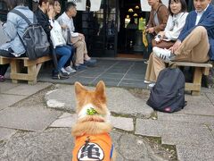 手打ちそばの泉です。わんことも一緒にテラスでなら食べることも。順番待ちも回転早いですね。