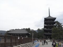 ここに来たからには、興福寺の五重塔は一度拝んでおかないと。