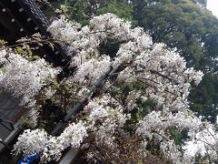 藤山神社