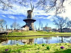 そう！オランダに行くからには、この景色を見たかったのです。風車と運河。どストライクの景色が目の前に広がっており、感動しました。