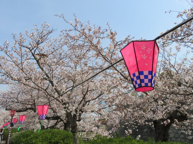 大阪城西の丸庭園の桜を眺める 大阪城 京橋 大阪 の旅行記 ブログ By 酒飲む旅人さん フォートラベル
