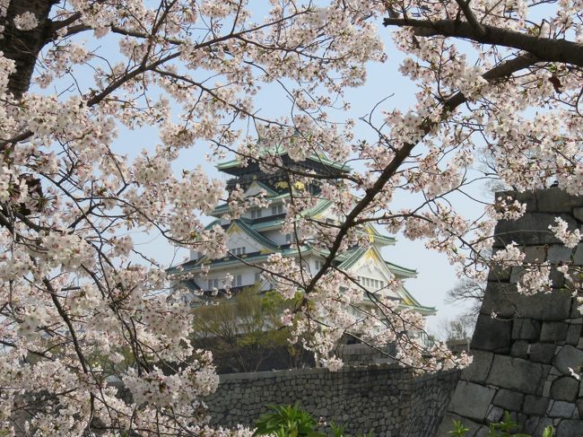 大阪城西の丸庭園の桜を眺める 大阪城 京橋 大阪 の旅行記 ブログ By 酒飲む旅人さん フォートラベル