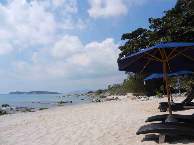 いつもの席からの眺め。