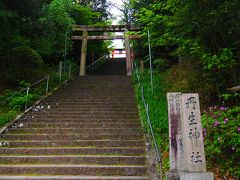 慈尊院の奥の石段を上って丹生神社へ。
鳥居がとっても素敵。