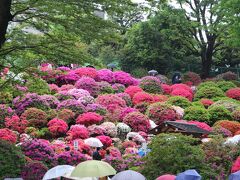 根津駅からはつつじまつりでにぎわう根津神社へ。見頃のつつじは見事だが、天候が悪いのが残念。