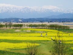 福島潟と二王子連峰