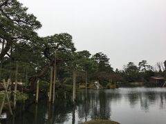 早朝の兼六園はとても空いています。
霞ヶ池の唐崎松、ドドーンと迫力の大きさ。きちんと手入れをすれば大きくなるんですね。

池の周りをのんびり歩いていたら、無料開放タイムが終了。まだまだ見て回りたかったので、一度外に出て再入場しました。

65歳以上の両親は無料（年齢証明できたため）、子供たちは各100円、結局正規料金（しかも310円、、、安い）は私たち夫婦だけ。あえて無料開放タイムに来なくても良かったかも。空いていたのは良かったですが。