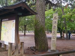 奈良公園。
