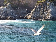 続いてみやこ浄土ヶ浜遊覧船へ
日によって運行時間が異なるので要注意
この日は夕方まで運行がありました～
船の写真は撮ってないけど、またしてもウミネコと戯れる
