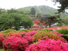 小室山公園