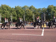 バッキンガム宮殿にきましたけど今日は営業交代式は休みです。
近くを騎馬隊が行進してたのでパチリ。