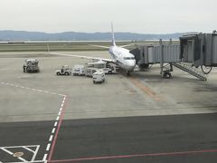 飛行機での移動