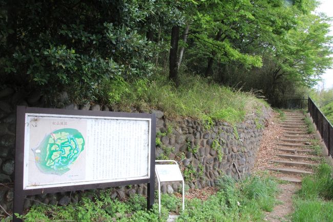 東松山散策:箭弓稲荷神社ぼたん園、岩室観音、吉見百穴など2019年4月