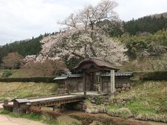 一乗谷朝倉氏遺跡(庭園)