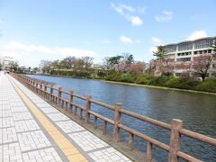 駅で桜祭りのチラシを発見。ちょうど期間は今日まで。

まつりの最終日なので桜はもう散っているかなあ…と思いつつ、千秋公園へ行ってみました。