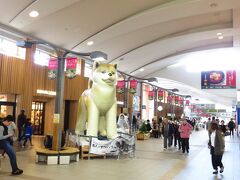 新幹線に乗って秋田駅に着くと、秋田犬のバルーンがお出迎え。

通路に３匹ほどおりました。

人と比べてみても分かるように、大きいです。短毛種の秋田犬がモデルになってるようです。